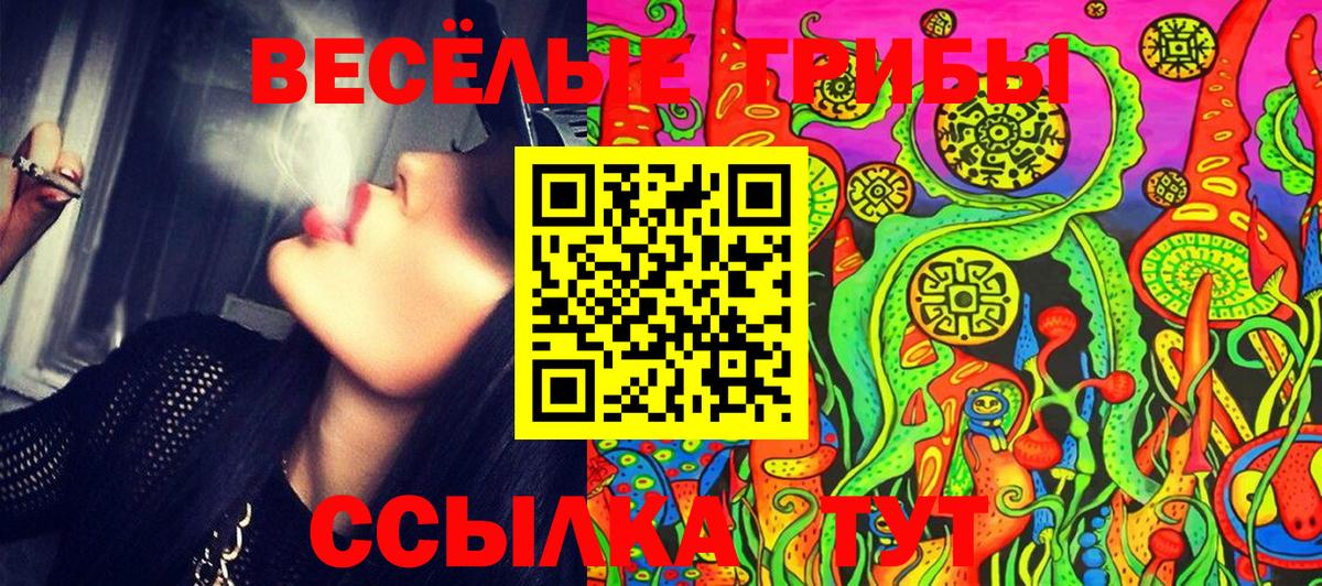 Галлюциногенные грибы Cubensis  Псилоцибиновые грибы прущие грибы  Вход с VPN  Москва 